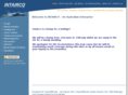 intairco.net