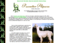 pacesetteralpacas.com