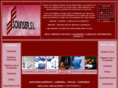 solinser.com