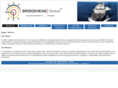bridgeheadglobal.com