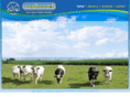 continentalicecreamfoods.com