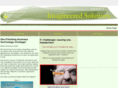 imagineeredsolutions.com