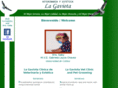 manzanillovet.com
