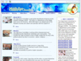 neccgaza.org