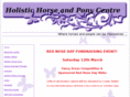theholistichorseandponycentre.com