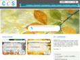ccs-consultoria.com