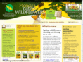 floridawildflowerfoundation.com