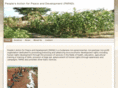 papadsudan.org