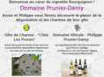 prunierdamy.com