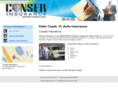 carinsurancepalmcoast.com