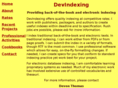 devindexing.com