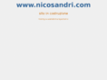 nicosandri.com
