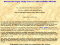 roguetrinitygold.com