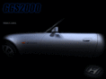 ggs2000.com