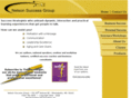 nelsonsuccessgroup.com