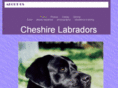 cheshirelabs.com