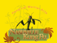 nashvillekungfu.com