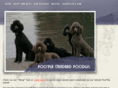 pooplastandardpoodles.com
