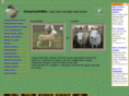 sheepwar.com