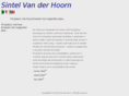 sintelvdh.com