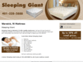 sleepinggiantri.com