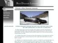 blackdiamondslimousine.com