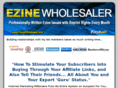 ezinewholesaler.com