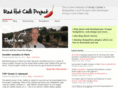 redhotchiliproject.com