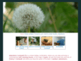 adventurecornwall.co.uk