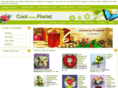 coolonline.com