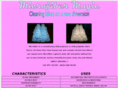 microfibermagic.com