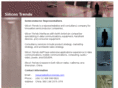 silicon-trends.com