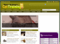 thecattrainingsite.com