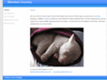 wombatcountry.com