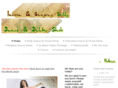 bellydanceanddrumshow.com