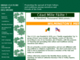 irishde.org