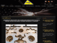 stainless-processing.com