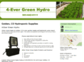 4-evergreenhydro.net