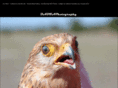 dadfaphotography.com