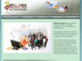 ellipse-synergie.com