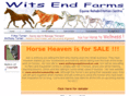 witsendfarms.com