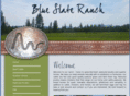 blueslateranch.com