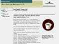 brucejohnsassociates.com