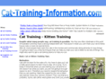cat-training-information.com