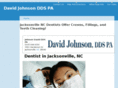 davidjohnsonddspa.net