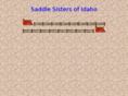 saddlesistersidaho.com