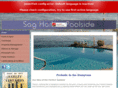 sagharborpools.com