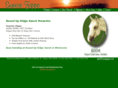 sunrisezippo.com