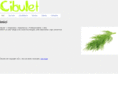 cibulet.net