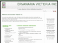 ervanarianovohorizonte.com